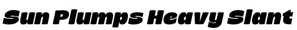 Sun Plumps Heavy Slant Font Image