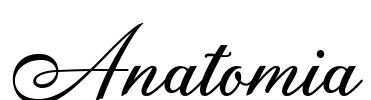Anatomia Font Image