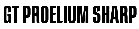 GT Proelium Sharp Font Image