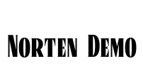 Norten Demo Font Image