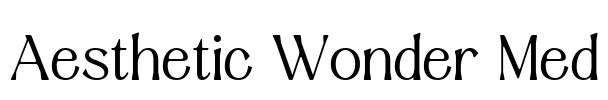 Aesthetic Wonder Med Font Image