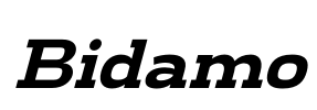 Bidamo Font Image