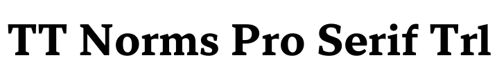 TT Norms Pro Serif Trl Font Image