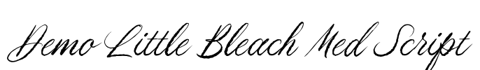 Demo Little Bleach Med Script Font Image