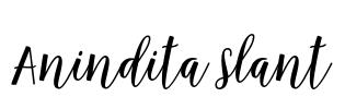 Anindita Slant Font Image