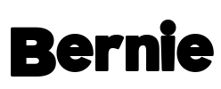 Bernie Font Image