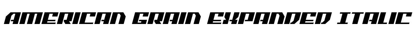 American Grain Expanded Italic Font Image