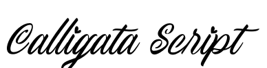 Calligata Script Font Image