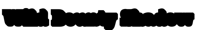 Wild Bounty Shadow Font Image