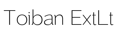 Toiban ExtLt Font Image