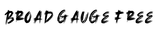Broad Gauge Free Font Image