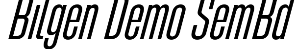 Bilgen Demo SemBd Font Image