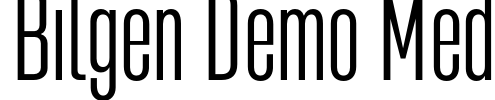 Bilgen Demo Med Font Image