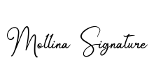Mollina Signature Font Image