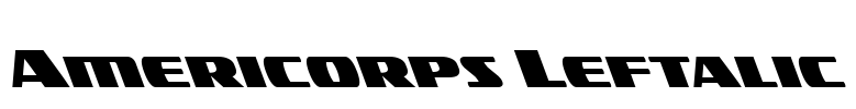 Americorps Leftalic