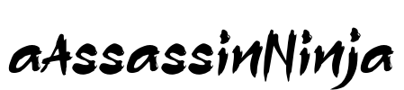 aAssassinNinja