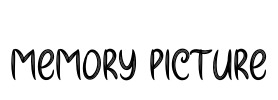 Memory Picture