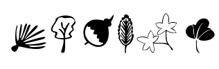 Plants Font Image
