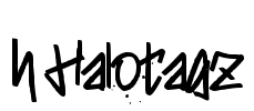 h Halotagz