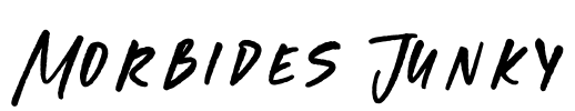 Morbides Junky