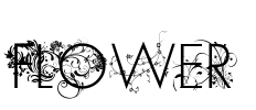 FLOWER