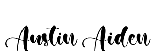 Austin Aiden Font Image