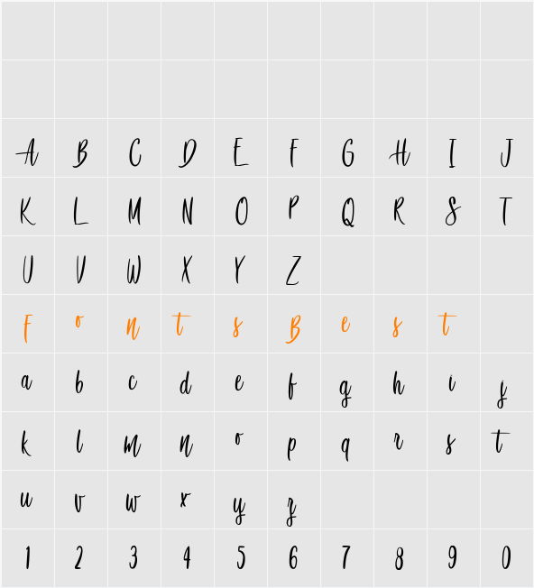 Awesome Birds Character Map