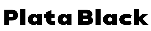 Plata Black Font Image