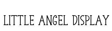 Little Angel Display