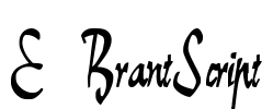 E-BrantScript Font Image