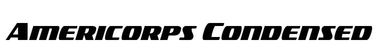 Americorps Condensed