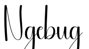 Ngebug