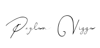 Peylon Viggo