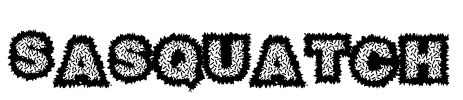 Sasquatch Font Image