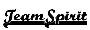 TeamSpirit Font Image