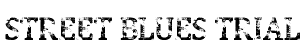 Street Blues Trial Font Image