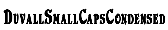 DuvallSmallCapsCondensed Font Image